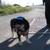 2012-11-le fromage-88